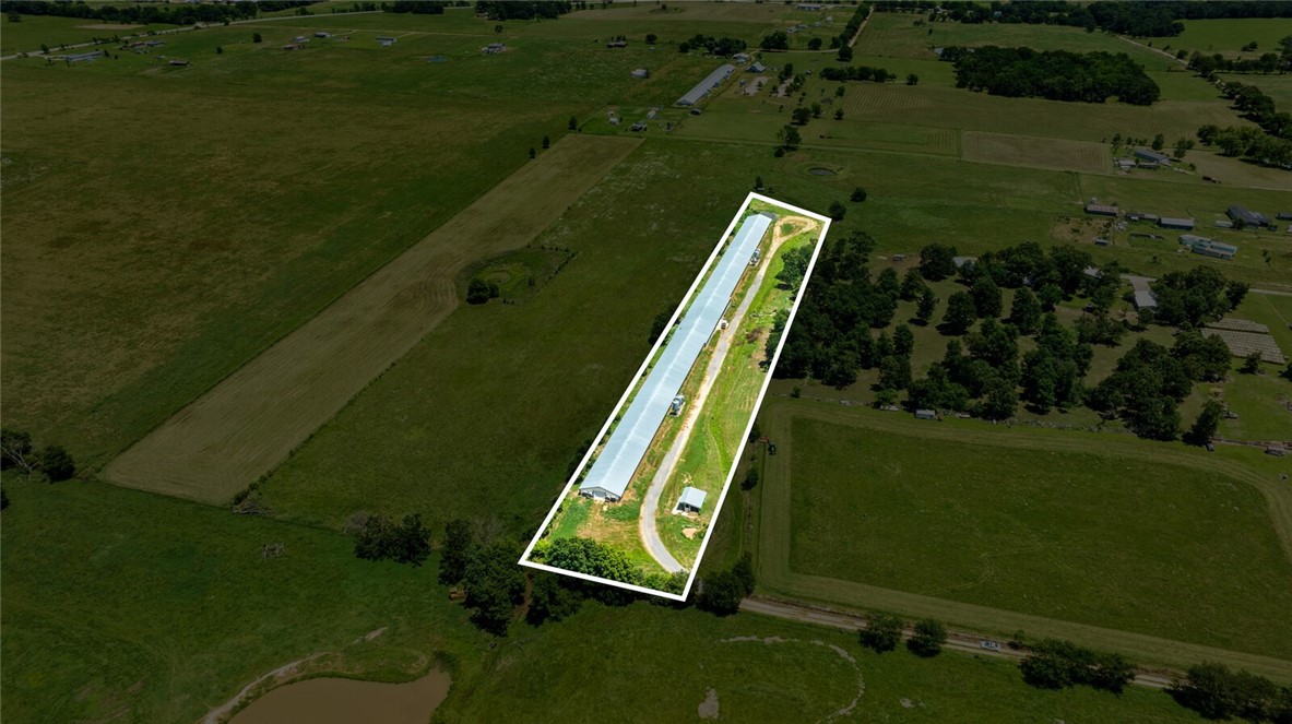 cockle doodle doo - Farm