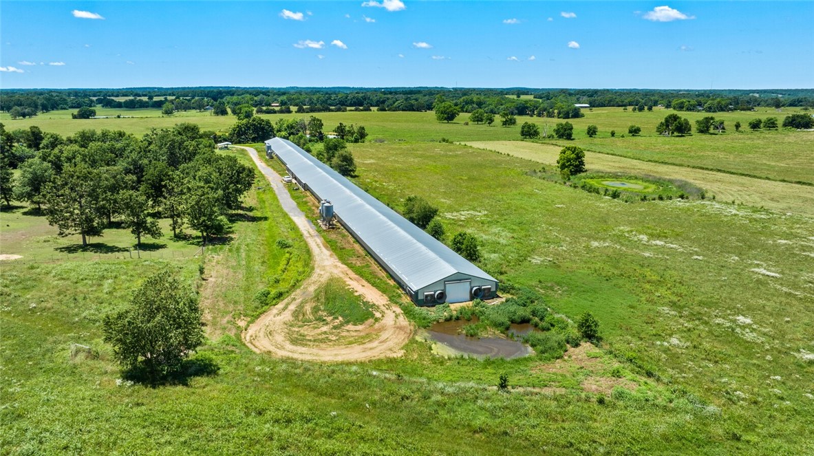 cockle doodle doo - Farm