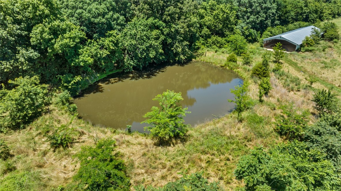 cockle doodle doo - Farm
