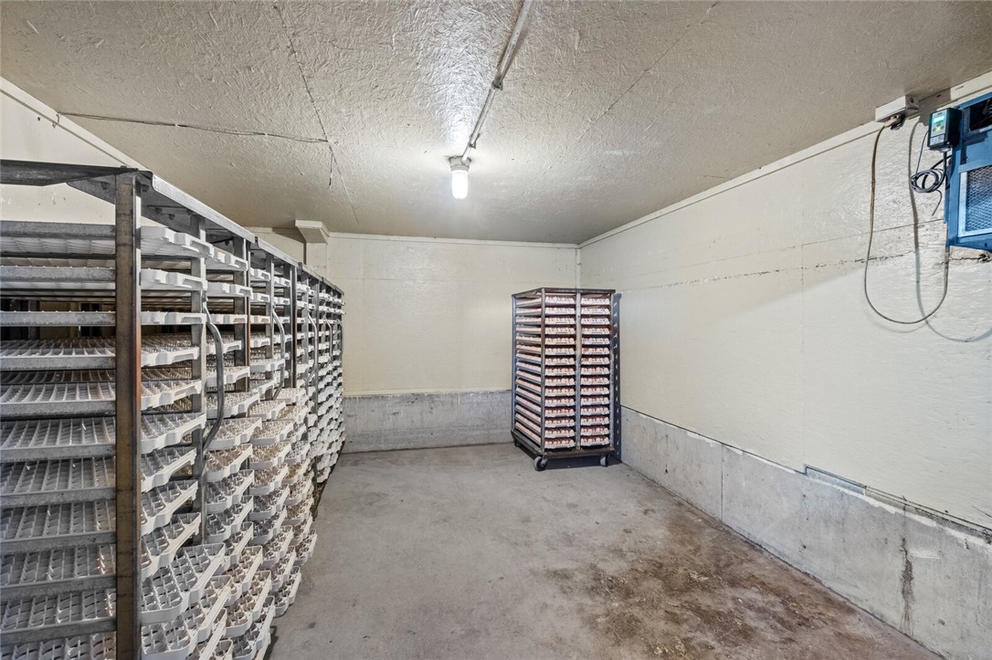 cockle doodle doo - Farm