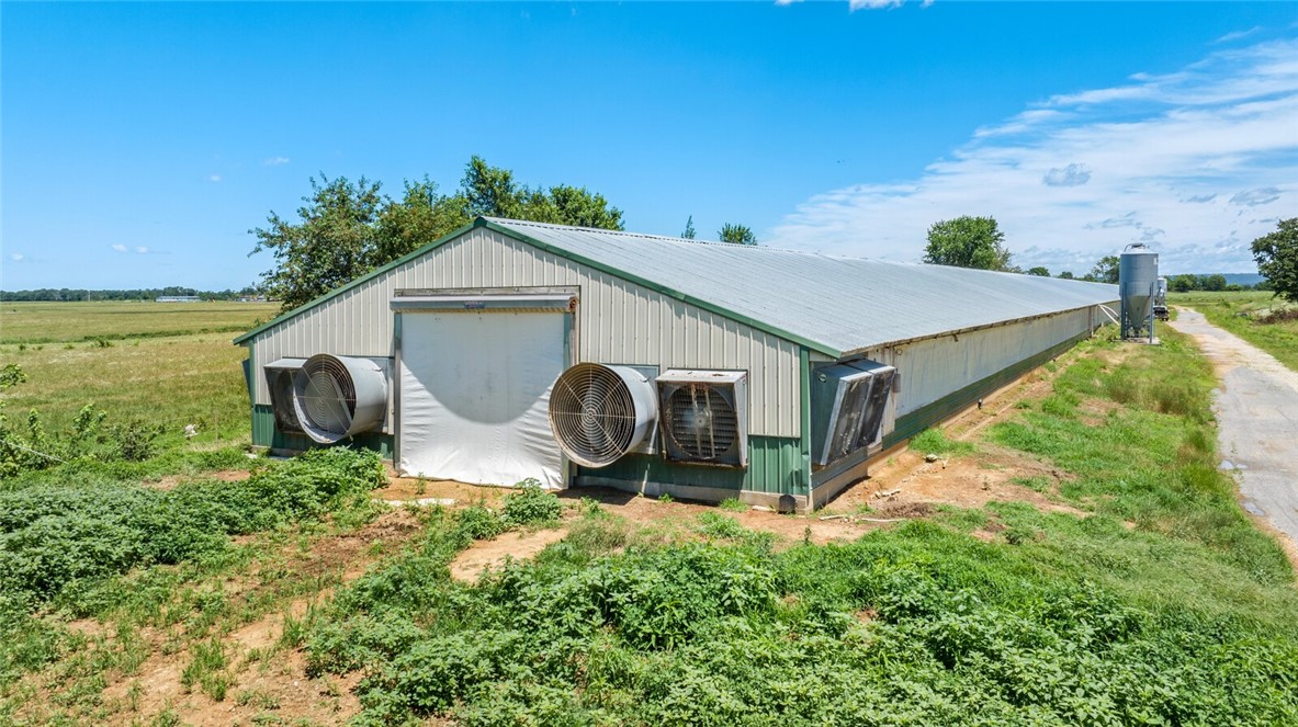 cockle doodle doo - Farm