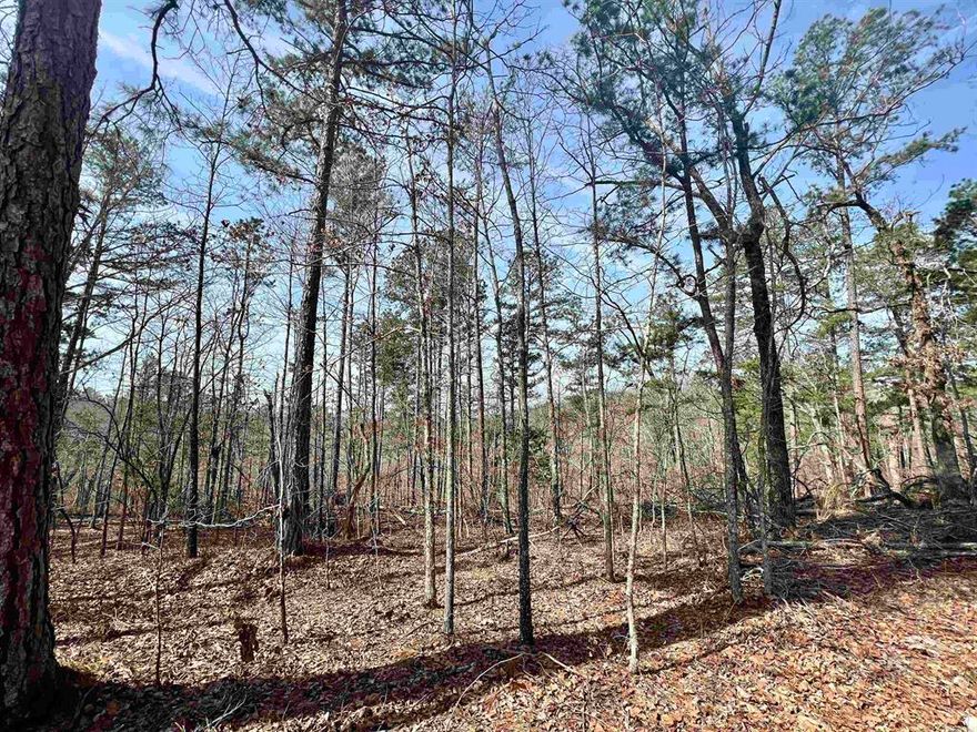 5 acres m/l.  Unrestricted, and joining Buffalo National Park Service.  Located less than ½ mile down gravel road, and within 2 miles of river
access.  Power along road at property.  Potential for good Southern views with some clearing.