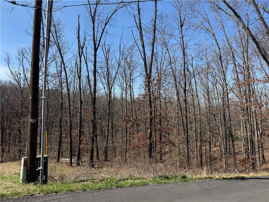 This 0.32-acre lot offers an affordable opportunity to build in Bella Vista. With electricity at the street, public water available, and a perc test already on file, much of the early groundwork is already in motion. The natural slope makes it especially well-suited for a walkout basement, split-level design, or modern cabin-style build. Located near Lake Brittany, biking and walking trails, and in the Bentonville school district, this property is a strong option for a first-time builder, weekend retreat, or small investment project. Low monthly POA dues add to the value. At $25,000, this is a smart entry point into Northwest Arkansas real estate. $25K Bella Vista build opportunity.  0.32 acres with perc test available, electric at the street, public water nearby, low POA, and close to Lake Brittany + trails. Ideal for a walkout cabin, starter home, or small investment build.