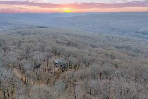 Photo of 22439 Carter (WC 147) Lane, Winslow, AR 72959 (MLS # 1333747)