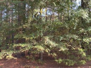 Discover the potential of this 9.97 acres with 1660 feet along I 40. Affordable price at $3240 an acre.This property is land locked.