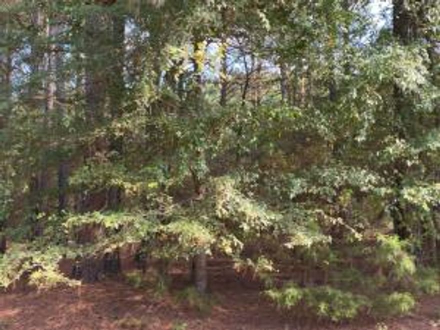 Discover the potential of this 9.97 acres with 1660 feet along  I 40.  Affordable price at $3240 an acre.This property is land locked.