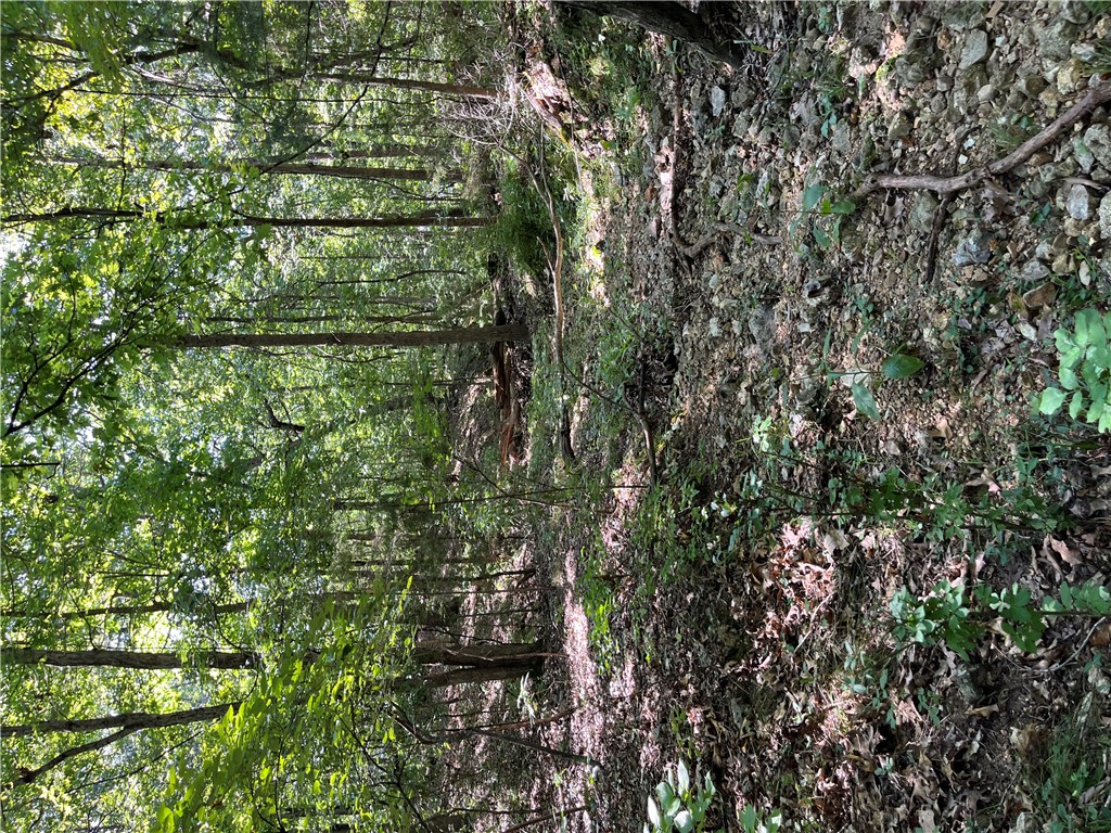 Wunderland Estates - Land