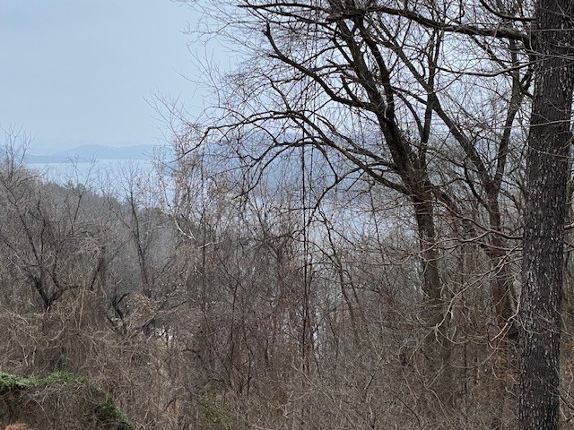 2 beautiful lots with a wonderful winter view of Beaver Lake. With some clearing, you would have a year round view. Subdivision has community water, and is located close to Starkey Marina. Easement across lots for driveway access to building sites. Several good building sites. Bring your ideas and build your dream home here. Won't last long.