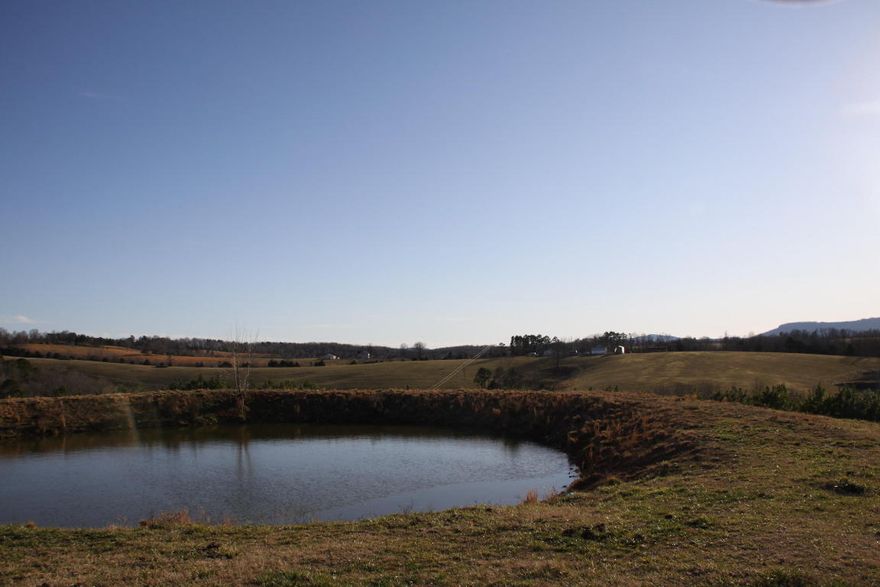 Includes the Historic Bat House Cave - 5.5 Miles to Buffalo River National Park and the Caves Accesses - Springs and ponds - Barns, impressive 393 acres Parcel with incredible views