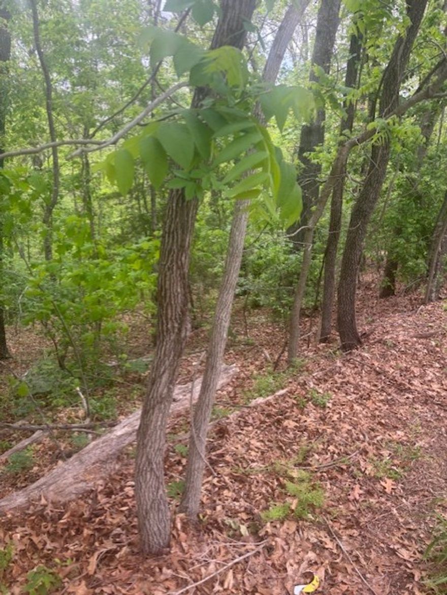 It's hard to think about Deddington without the Grateful Dead.  They have nothing to do with each other but they both have dead in the names.  Truckin' is a great song about travelling around but yearning for home.  This lot on Deddington is in a pretty area right in the heart of Bella Vista.  Great area just off Trafalgar.  Very nice treed lot with, tons of building potential, with the grade of the lot, a walk out basement might be a good plan here.  It is steep, but with all the trees could be very private.  Living on this lot is alot like goin' home, back to where you belong, "back home, sit down  and patch my bones".  Enjoy the long strange trip to this lot on Deddington.