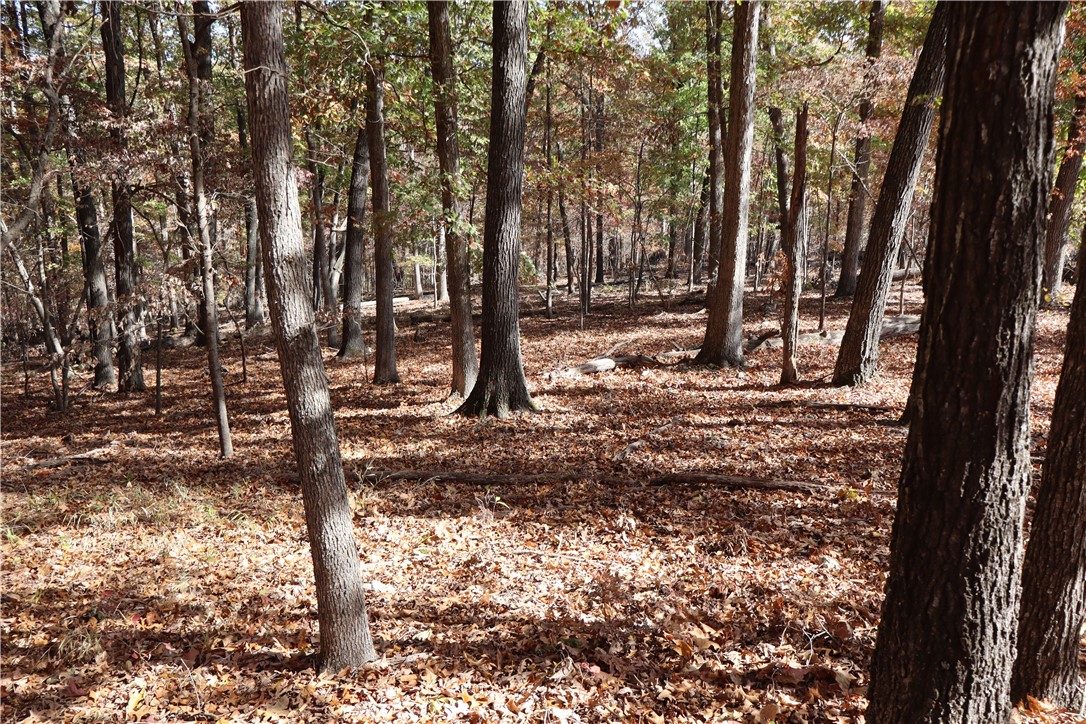 Posy Mountain Ranch Unit 11 Rurban - Land