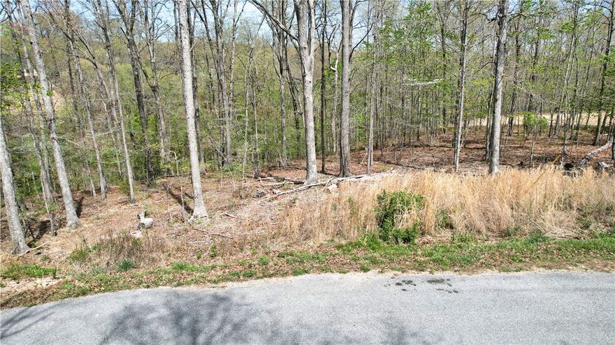 Discover the perfect canvas for your custom home on this 0.28-acre wooded lot in the heart of Bella Vista. Nestled in a serene, natural setting, this property offers the ideal blend of privacy and adventure for outdoor enthusiasts. You'll be just moments away from the popular Down Under Loop, part of Bella Vista's world-class mountain bike trail system. This build-ready lot features a gentle slope, perfect for various architectural designs to capture those peaceful wooded views. A perc test completed in 2021 is for a 3-bedroom home, and utilities are a breeze with water and electricity located right at the street. Whether you are envisioning a weekend trailhead retreat or your forever home, this property provides the perfect elevation and location to make it a reality. Enjoy all the premier amenities Bella Vista has to offer, from pristine lakes and golf courses to endless hiking. Don't miss your chance to own a piece of the Ozarks!