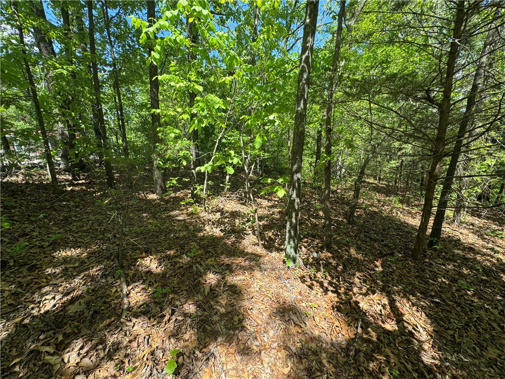 Land is level and gently rolling. Located in the heart of the river valley sits this property. Not far from the Arkansas River, local lakes and mountains and biking trails