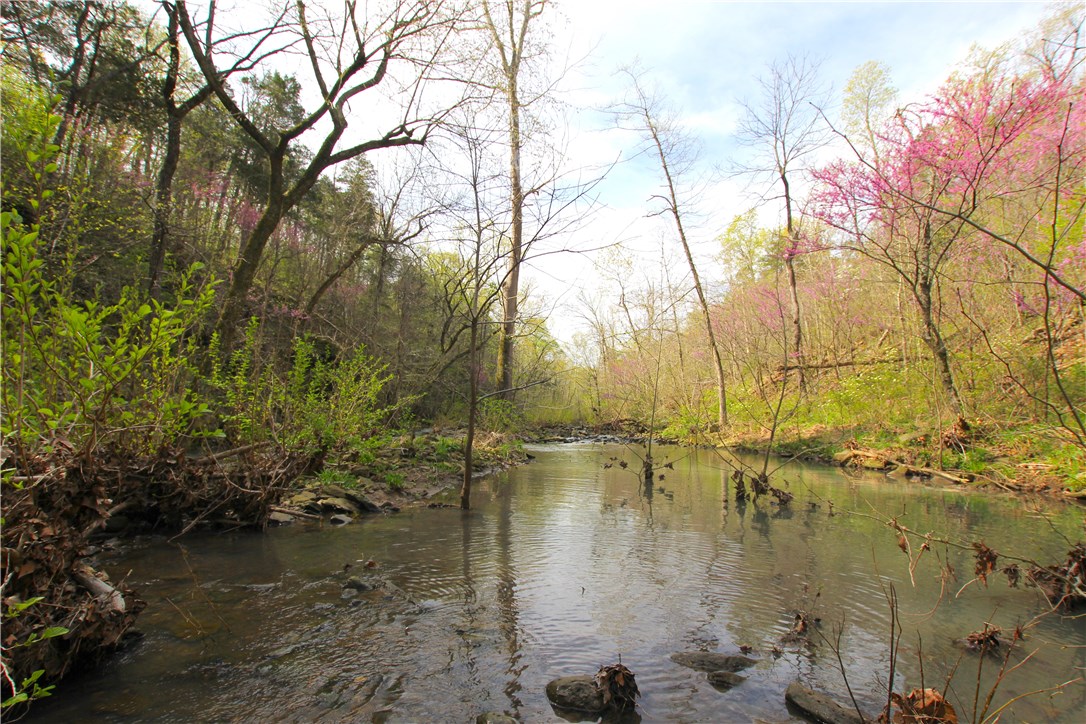 Two ponds, a creek, flat terrain, county road frontage, and seclusion in one package can be hard to find, but this 20 acres has all of the above. And just 2 miles of well-maintained gravel road separates the buyer from the convenience of U.S. Hwy 62, east of Green Forest, AR. A mix of post oak, red oak, and large cedars are spread across amazingly flat to gently rolling ground, which transitions to large hardwoods down a small ridge toward the creek. Dry Fork Creek lines the entire western boundary, and two established 1-acre ponds are located closer to the east side. Several home site possibilities are at play here. Situate a home near the road overlooking your acreage to the west, or take advantage of a pond levee for an aesthetic driveway entrance to a homesite tucked back in the woods. This private, tranquil venue is just begging for your next home or cabin site, so call today to arrange a showing.