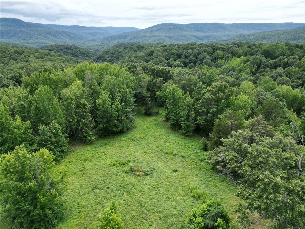 7.28 acres in the beautiful Erbie Area of Newton County, Arkansas. This prime location is within minutes of the Buffalo National River. Don’t miss this incredible opportunity to own one of the nicest and best-priced tracts in the area. This beautiful property lays well with multiple ideal building spots, great views, and utilities already on site—making it ready for your dream home, cabin, or getaway. Just minutes from a wide array of outdoor adventures. Explore the nearby Buffalo National River, Cove Creek, Cavers Camp, Cecial Creek, Cecial Cove Loop Trail, and the Erbie Horse Camp. Enjoy swimming holes, fishing, hiking, kayaking, canoeing and horseback riding all within easy reach.
Whether you're looking for a peaceful place to build or an investment in one of the Ozarks’ most desirable areas, this property has it all—beauty, location, and value. Don’t let this one get away—land like this doesn’t come along often!