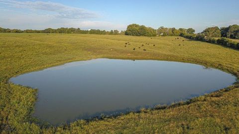 Unimproved Land in Garfield AR 13995 Byler Road 3.jpg