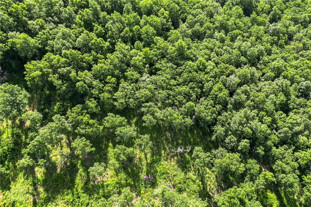 Round Mountain Estates - Land