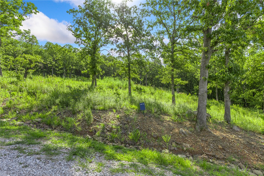 Round Mountain Estates - Land