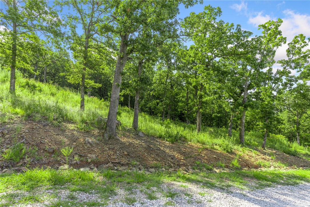 Round Mountain Estates - Land