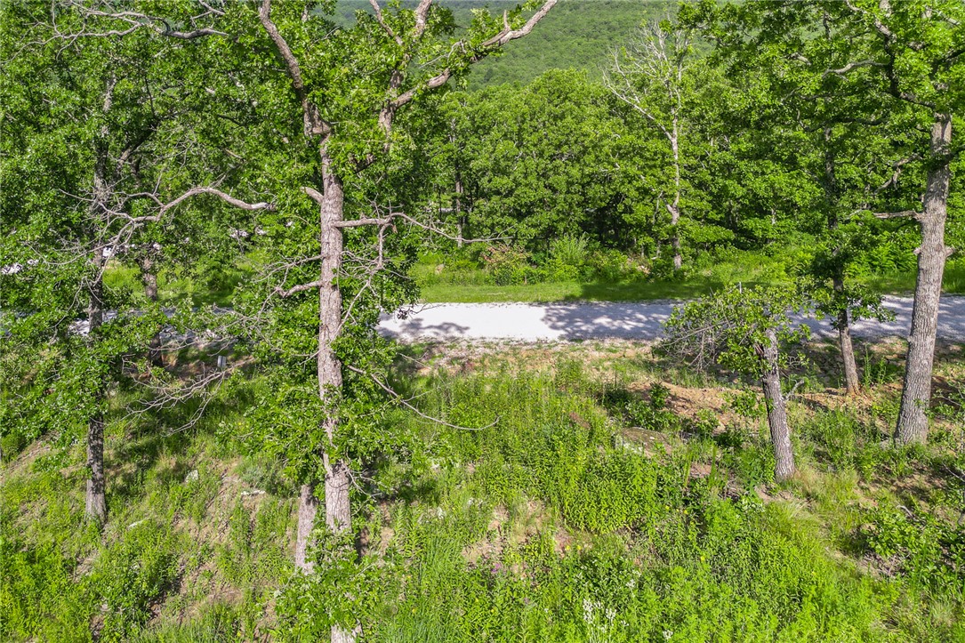 Round Mountain Estates - Land