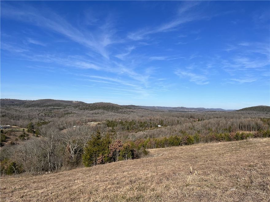 Awesome building site with great views.  This 5 acres is mostly in pasture and has no restrictions. This is a must see property.