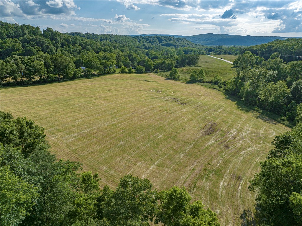 Build your dream home on over 16 acres in southeast Washington County. Own your own corner on a paved road with beautiful country views. Live water creek plus 2 ponds. Mostly fenced and cleared with a mix of pasture with woods, There are 2 parcels for added flexibility. Perfect for a hobby farm or recreation. Rural water tap available and Ozarks Electric at the street. No deed restrictions. Convenient location less than 10 minutes to Elkins and 20 minutes to Fayetteville.