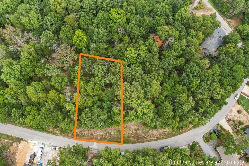 Build your dream home on this Bella Vista lot with a gentle slope in the frontāperfect for a tuck under garage or a traditional slab design. Current perc test available! Lake views just around the corner, with easy access to world-class trail systems, including the Huntley Gravity Zone just .5 miles away and 1.6 miles to the fishing pier and boat launch on Lake Windsor. Owners enjoy access to Bella Vista POA amenities: championship golf courses, tennis, pickleball, fitness centers, swimming pools, and community centers. Surrounded by the natural beauty of the Ozarks, yet close to shopping, dining, and Northwest Arkansasā thriving business corridor, this lot blends everyday convenience with a vibrant outdoor lifestyle. This lot offers the perfect balance of recreation, community, and value in one of NWAās most desirable areas.