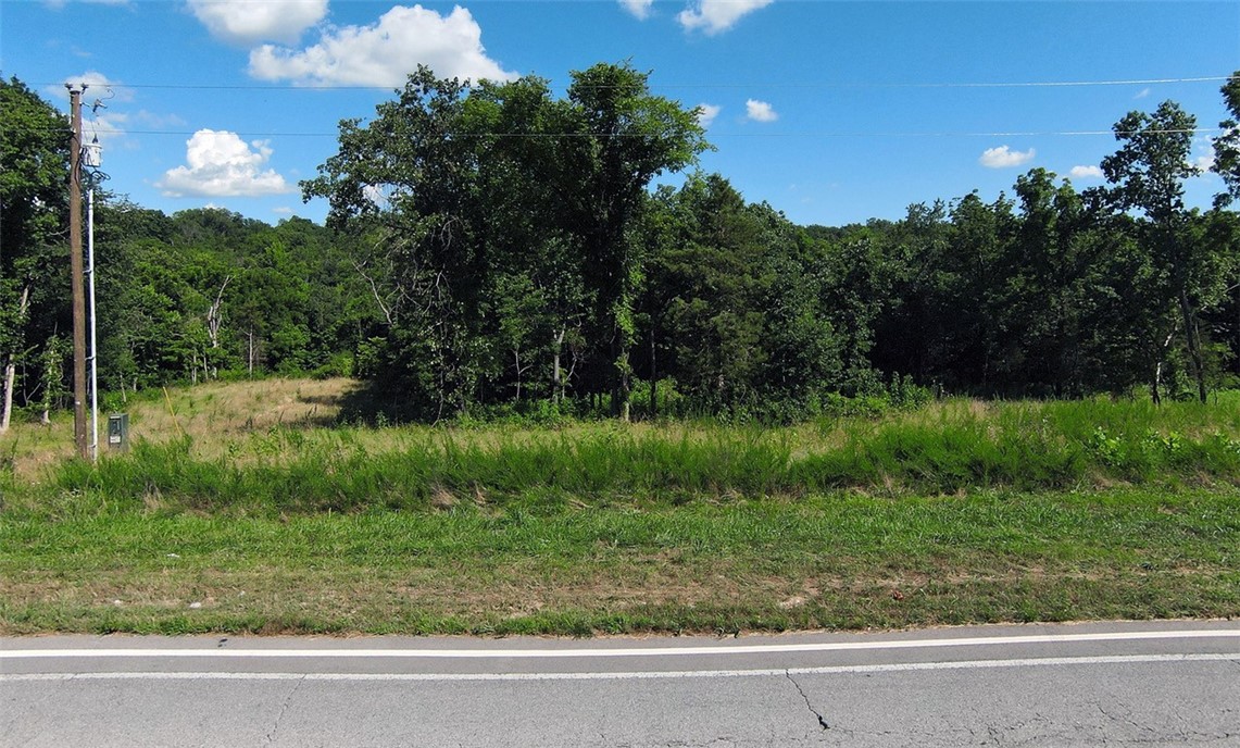 Here's your opportunity to build in the coveted Gordon Hollow area. The Tunnel Vision trail is right out your future front door and minutes from lakes, golf, and everything Bentonville has to offer. This is a slice of natural beauty blended with a feeling of getting away from it while having great NWA access. The large lots lend themselves aptly for the 2000 sq/ft minimum that is required on here at Gordon Hollow. Grab your chance to craft your dream home in one of Bella Vista's most desirable pockets.