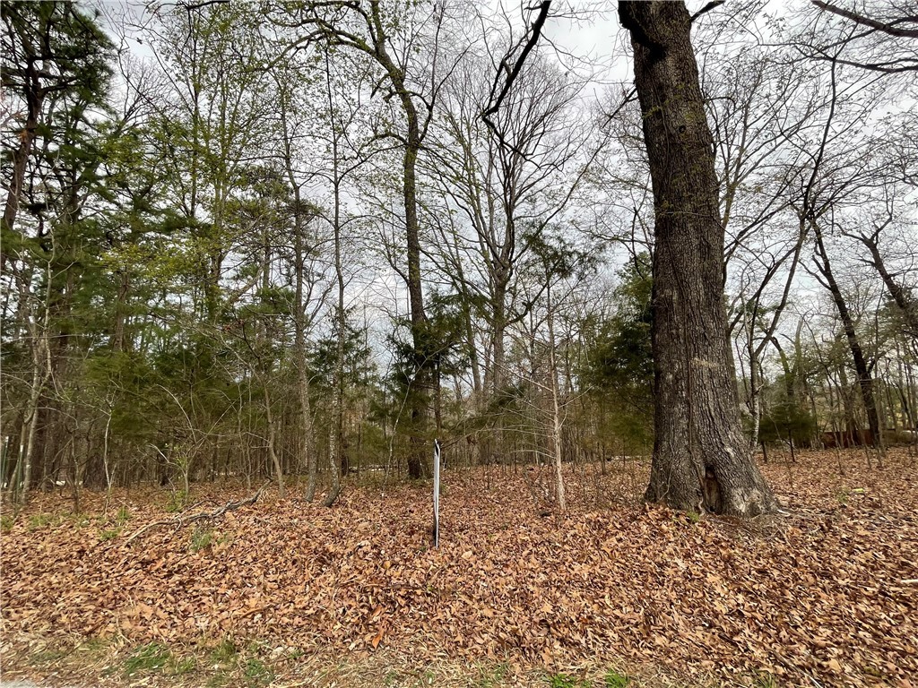 Welcome to Beaver Shores, Rogers, Arkansas! This fantastic lot near Beaver Lake offers the perfect balance of lakeside living and city convenience. With nearby access to Beaver Lake and convenient proximity to all of Rogers' amenities, including public boat ramps, this location is ideal for water enthusiasts. Don't miss out on owning your own piece of Beaver Shores subdivision ā seize this opportunity today!