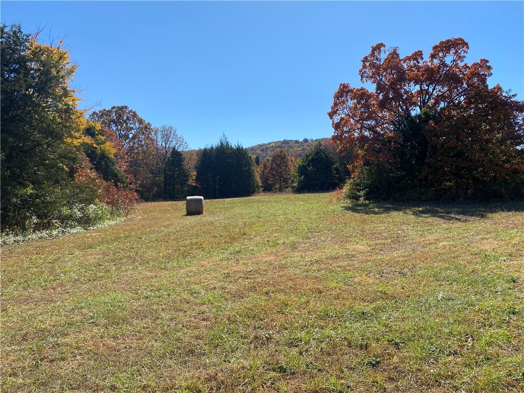 Own your own mountain-top with an incredible 270o mountain-top view down onto your gently rolling hillside and flatlands. Branson and Jasper sightlines! Est 60% beautiful flat and rolling terrain leading to Gaither Mountain's North and East side ascents. Est 10% pasture. Centrally located with great access to Buffalo River (Ponca), Harrison, Johnny Morris' Marble Falls Nature Village, Jasper and Branson. Excellent hunting. This property has it all... a truly unique and special tract in the heart of the Ozark Mountains. Call today for your private showing.