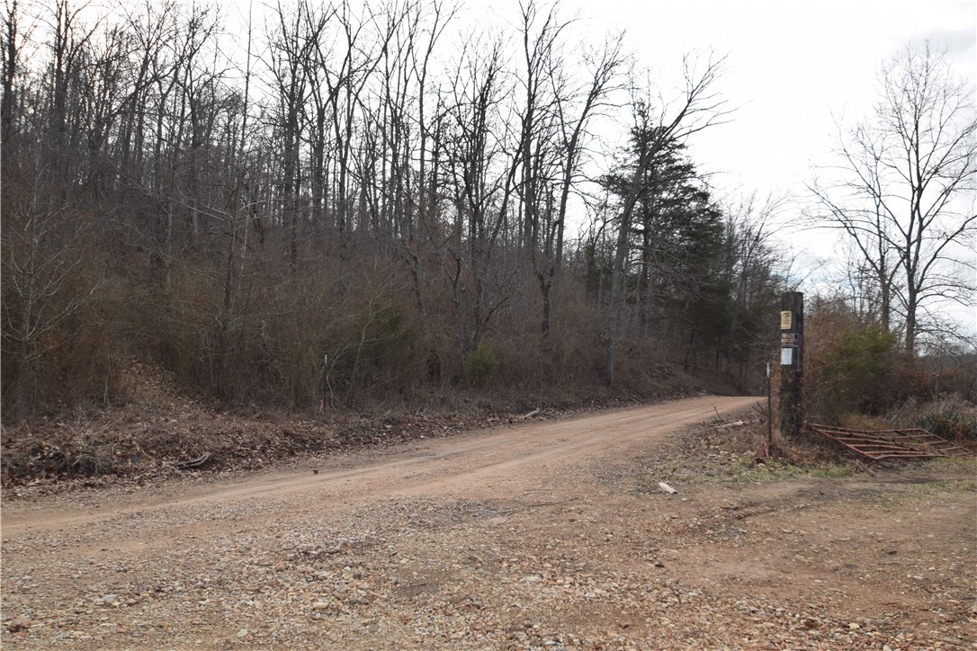 Come enjoy property close to the lake! Only 20 minutes back to Rogers! 12.06 acres. The property sits just down the road from the lake, you can access by going to the dead end at Walkenbach rd. at Avoca Holler on Beaver Lake. There is a public rural water tap just down the county road, otherwise a well would be needed. Other tracts are available for a total of 105 acres, See survey attached.