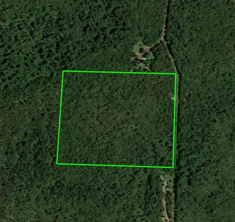 40 acres of timberland loaded with wildlife, a pond & joins the National Forest. Wave internet and electric are available, but a septic system and well will be required. Seller reports lots of big fish & abundance of wildlife. Rural water is on its way.