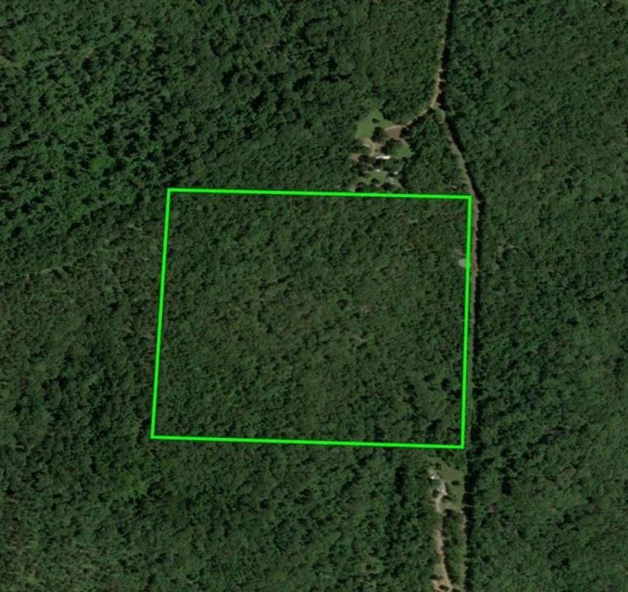 40 acres of timberland loaded with wildlife, a pond & joins the National Forest. Wave internet and electric are available, but a septic system and well will be required. Seller reports lots of big fish & abundance of wildlife. Rural water is on its way.