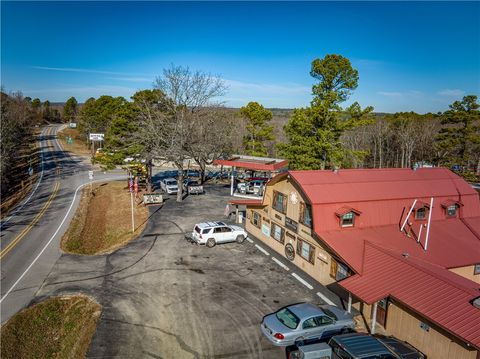 Photo of 23 E 268 Highway, Yellville, AR 72687 (MLS # 1332013)