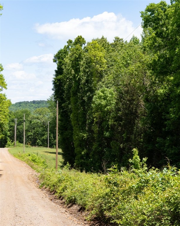 Are you dreaming of owning land away from the hustle and bustle of town? This 10 acre parcel on Barcelona Road near Lees Creek could be the perfect place to build your country home or cabin to enjoy the peace and quite of the Ozarks. Listen to the birds calling in the shade of beautiful trees or explore native plants and wildflowers as you stroll the property. The drive in on Independence Road along Lees Creek is stunning with cool, blue water and natural rock outcroppings. Natural Dam, Devil’s Den State Park, and Lake Fort Smith State Park are all within about an hours drive.