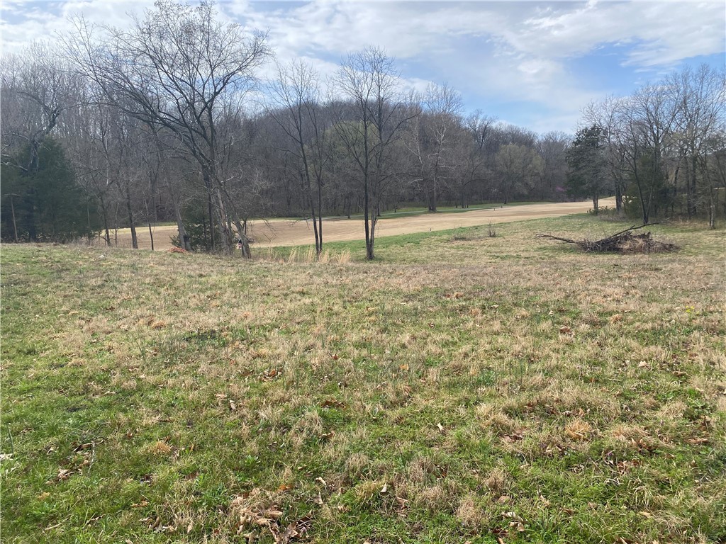 Are you ready to build your dream home right next to the 4th tee box at Highlands Golf Course in Bella Vista? The gently rolling, almost half acre lot is perfect for you! Just minutes from the Clubhouse, with easy access to I-49. You'll have easy travel to everything NW Arkansas has to offer. Golf front lots like this don't come along everyday...Make your dream come true!!