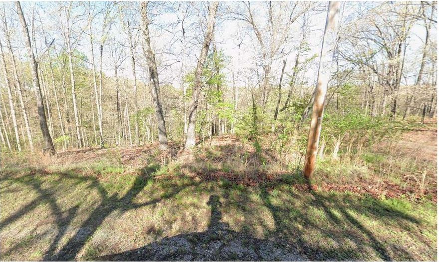 Don’t miss this opportunity to build your dream home in Bella Vista. Enjoy a peaceful, mountain-resort setting while being just minutes from Bentonville’s shopping, dining, and attractions.

As a property owner, you’ll have access to top-tier amenities including parks, golf courses, pools, trails, and lakes. The perfect blend of privacy and convenience—secure your spot in one of Northwest Arkansas’s most desirable communities today.