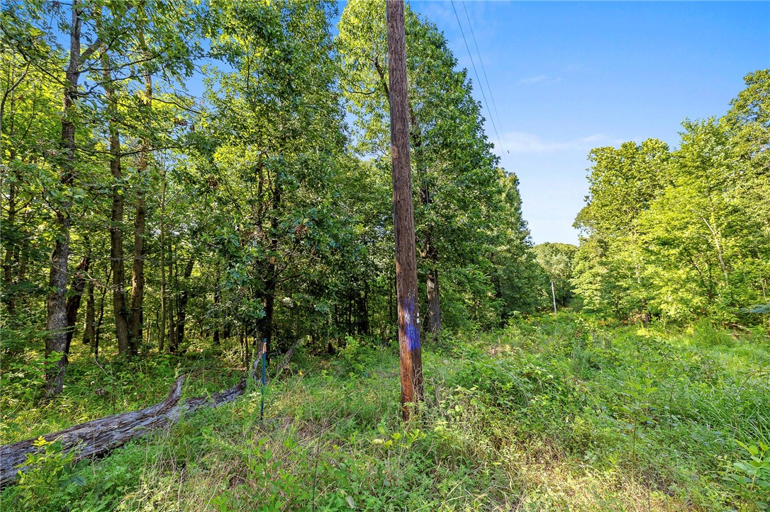 Ozark Estates 2nd Rurban - Land