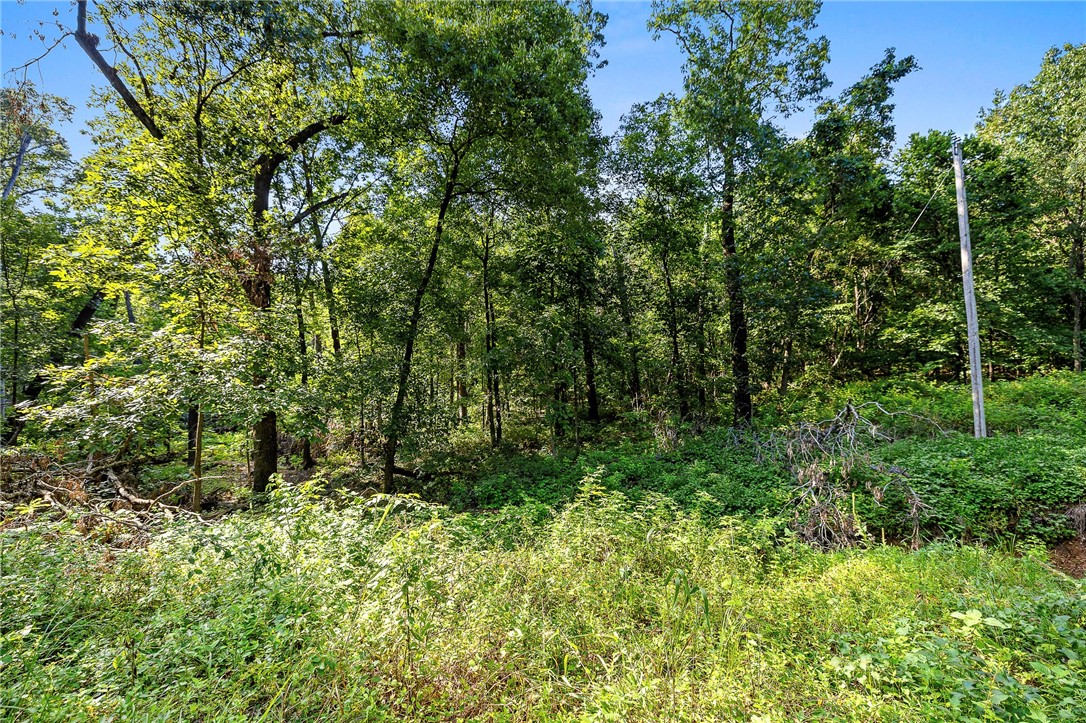 Ozark Estates 2nd Rurban - Land