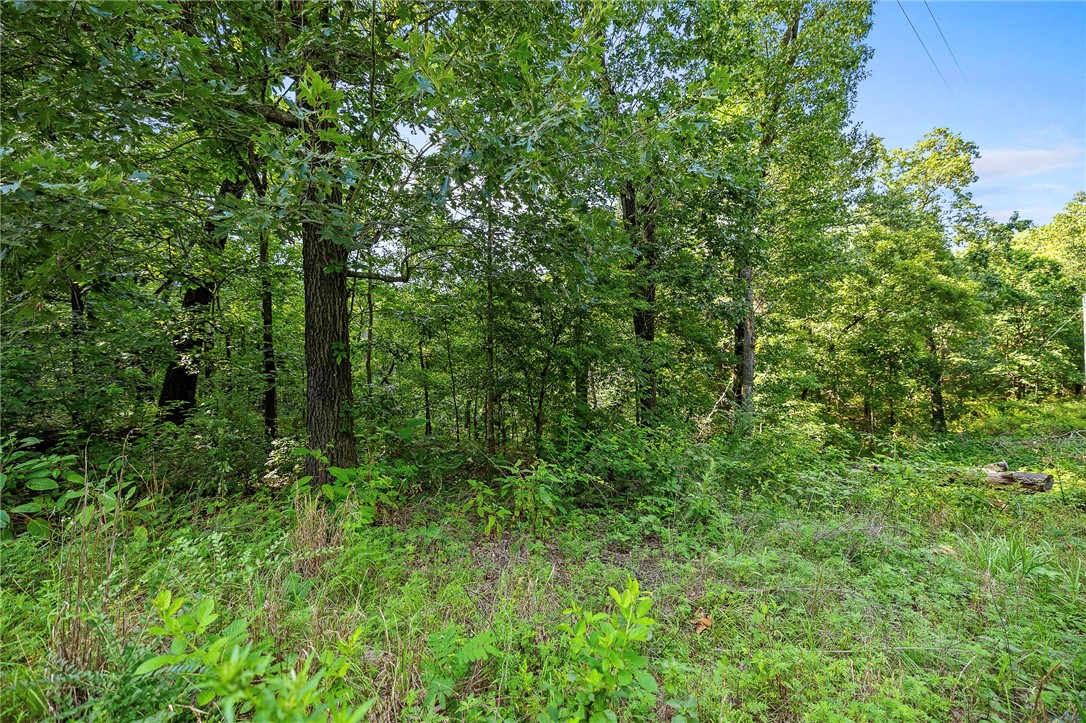 Ozark Estates 2nd Rurban - Land