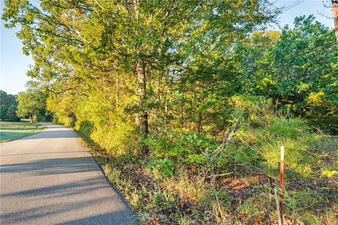 West Fork Outlots - Land