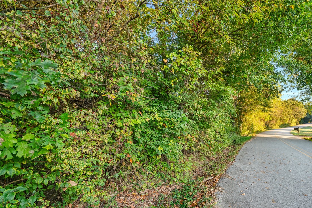 West Fork Outlots - Land