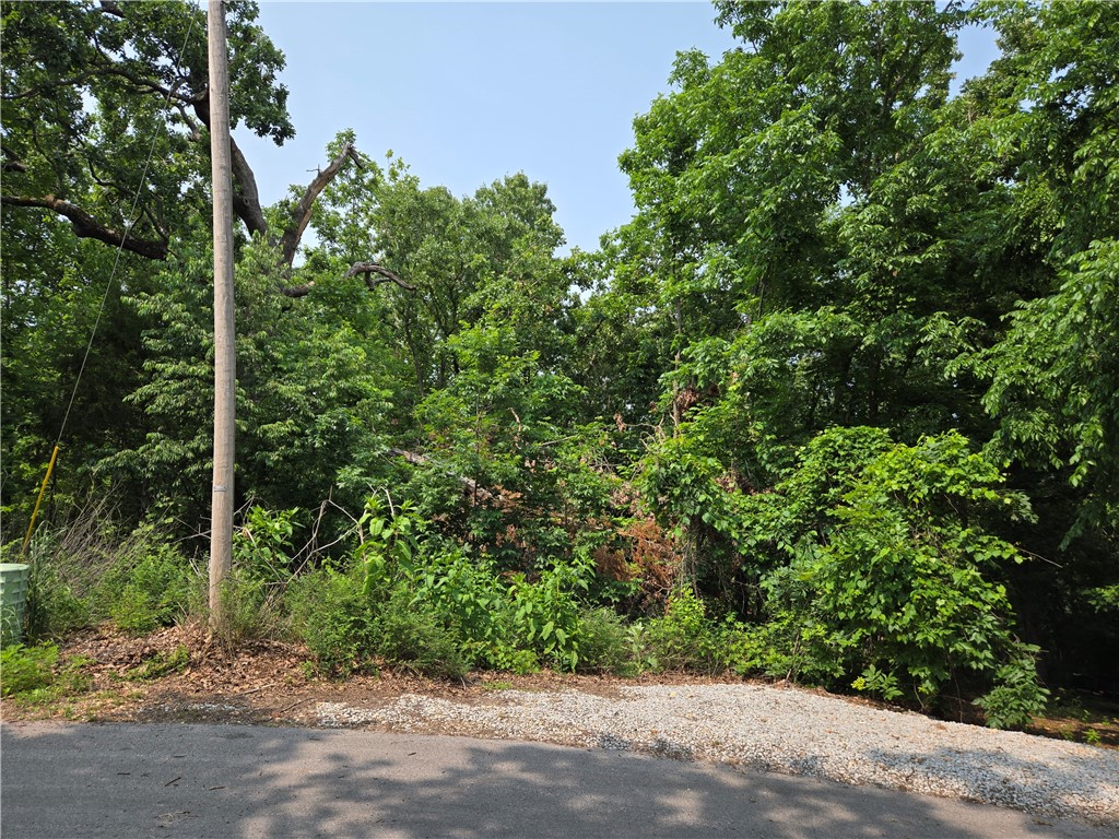 This 0.28-acre property sits on a mild slope on a quiet cul-de-sac in a heavily-wooded area, just a couple hundred feet from Loch Lomond! There is a large area owned by the POA right behind this property, offering privacy that is hard to match in NorthWest Arkansas, even by Bella Vista standards! This property is also less than 10 minutes from the Scotsdale Golf Course, the Highlands Gold Course, and the Branchwood Recreation Center! Whether you are looking to build your dream home or wanting to join the Bella Vista community, this lot could be perfect for you!