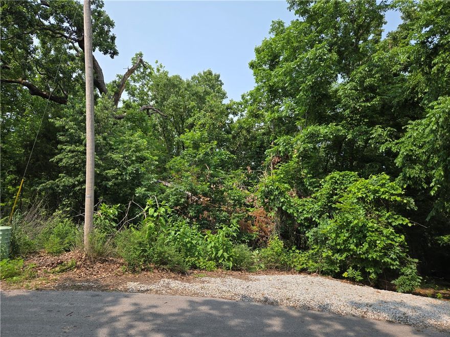 This 0.28-acre property sits on a mild slope on a quiet cul-de-sac in a heavily-wooded area, just a couple hundred feet from Loch Lomond! There is a large area owned by the POA right behind this property, offering privacy that is hard to match in NorthWest Arkansas, even by Bella Vista standards! This property is also less than 10 minutes from the Scotsdale Golf Course, the Highlands Gold Course, and the Branchwood Recreation Center! Whether you are looking to build your dream home or wanting to join the Bella Vista community, this lot could be perfect for you!