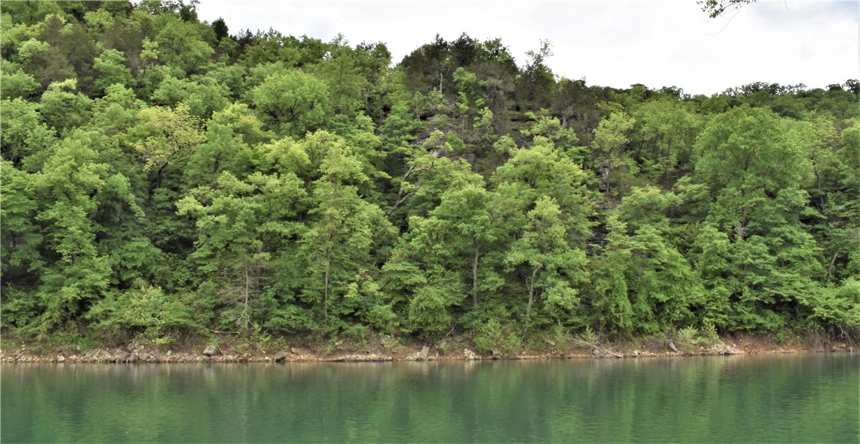 The 3 acre lot on the White River offers stunning views of the rock bluffs on the opposite bank, which soar over 150 feet above the river. Recent photos reveal that most of the rock bluffs are concealed by tree leaves. The breathtaking view was the main selling point for the property owners when they purchased the lot in 2006, along with the gradual slope from the CR 231 lot entrance to the river's edge. The 100x1300 lot is densely covered with trees and is approved for a 5-bedroom home. The country roads leading to the lot are well-maintained gravel.