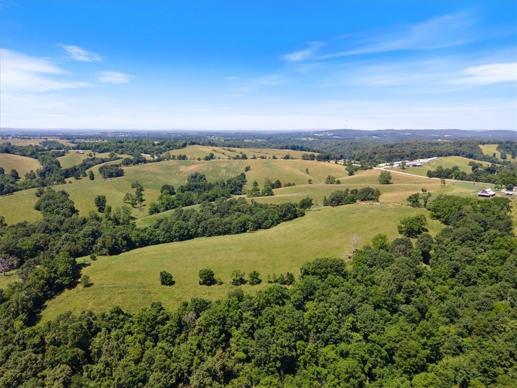 This picturesque landscape contains 160 acres of open, rolling pastures, mature trees in wooded groves, 2 ponds, a wet weather creek, natural spring and is fully fenced. With ample space for grazing livestock, the property also offers a tranquil haven for wildlife enthusiasts and outdoor lovers alike. Do a little exploring on the trails in your 4-wheel drive where you can enjoy the hollers, ponds and the natural wet-weather stream bed or just simply enjoy the peaceful ambiance in the open field that overlooks the entire property. Entrance to property on Hwy 23 with a deeded easement. Only 10 miles to Eureka Springs. 20 Minutes to War Eagle Cavern and Hobbs State Park.