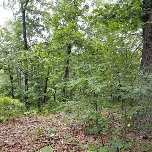 Lovely location that is close to the new by-pass and Pumpkin Hollow. Also close to Lake Windsor.