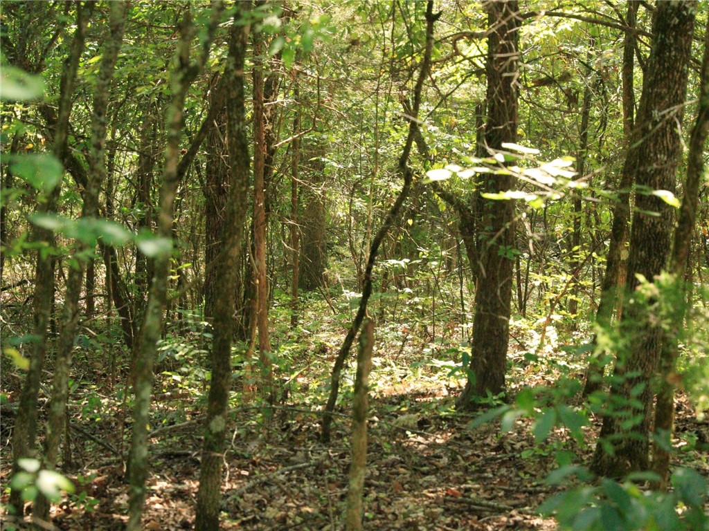 Build a new home on this almost half lot (.49 +/-) that is walking distance to Crown Lake and the public dock. You will be only minutes from the 2 other lakes and local amenities. Call or text today for more information. No owner financing available. Mobile homes not allowed.