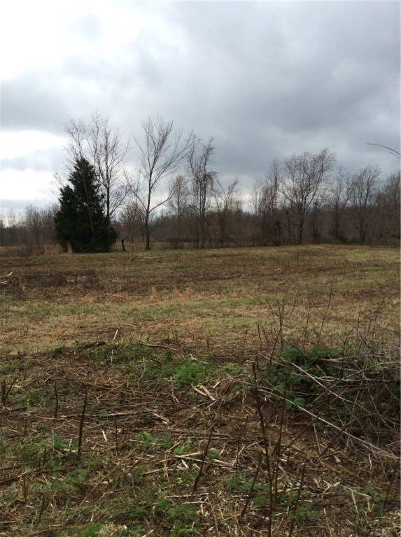 Springdale Outlots - Land