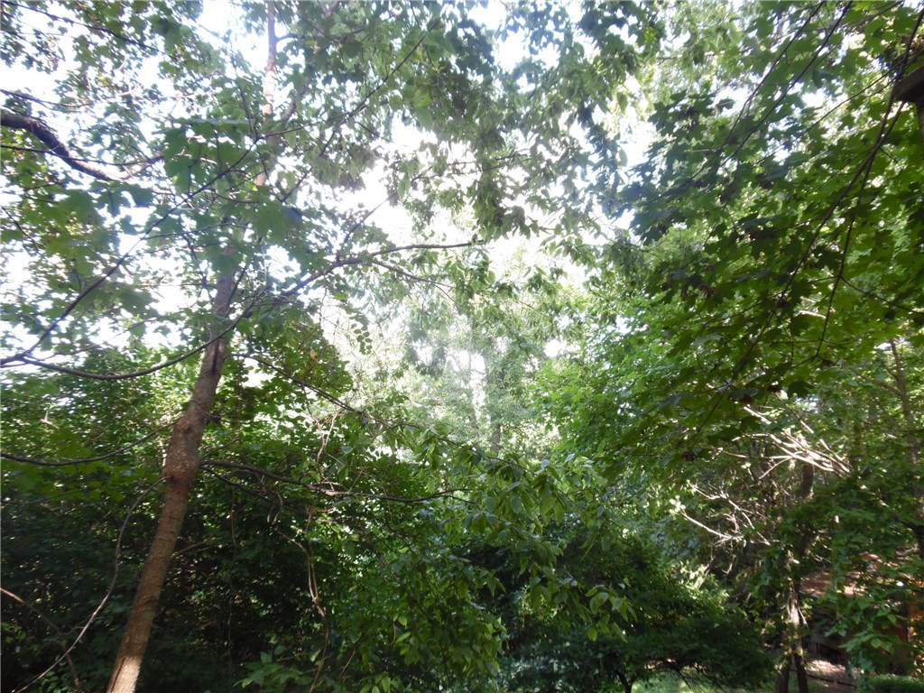 beautiful 3 acre lot for you to build your dream home on. Lot is private and on a paved road that is very close to state park. Water tap complete with water spicket on property. This is a very nice wooded piece of land that is mostly level and easy to build on.